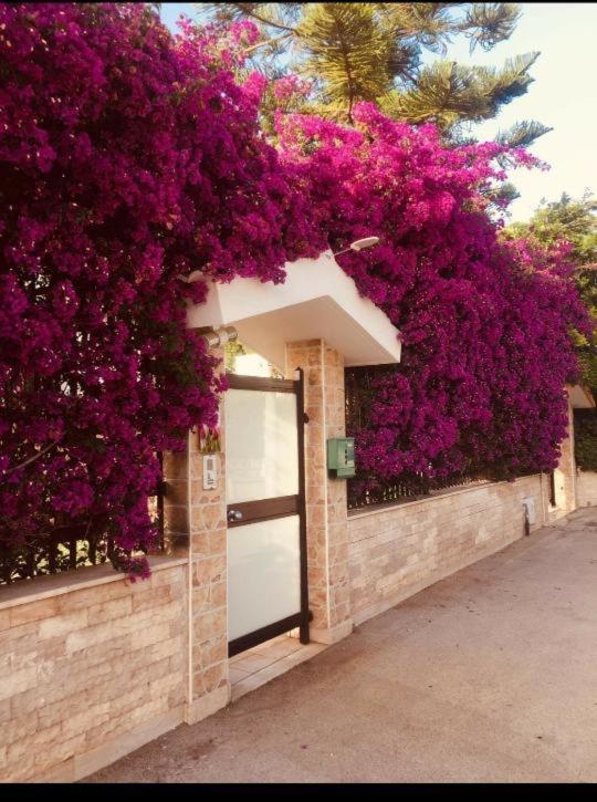 Appartamento tulipano rosso Bari Esterno foto